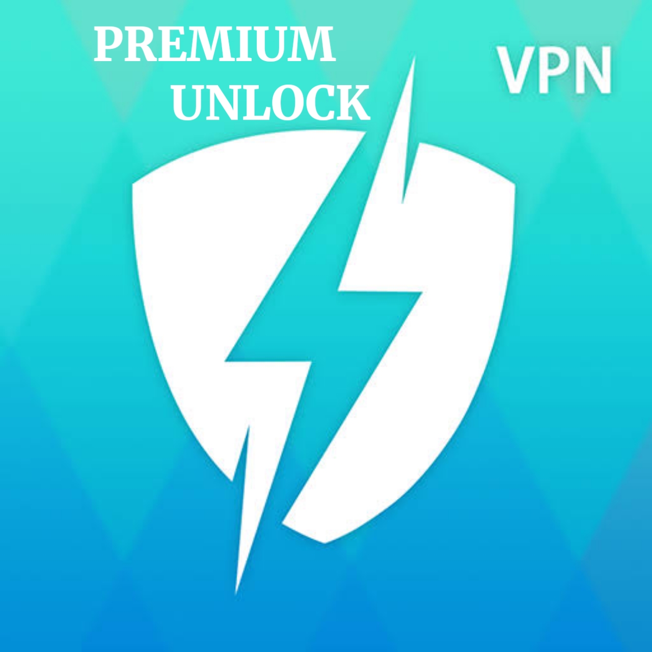 FAST VPN (PREMIUM)